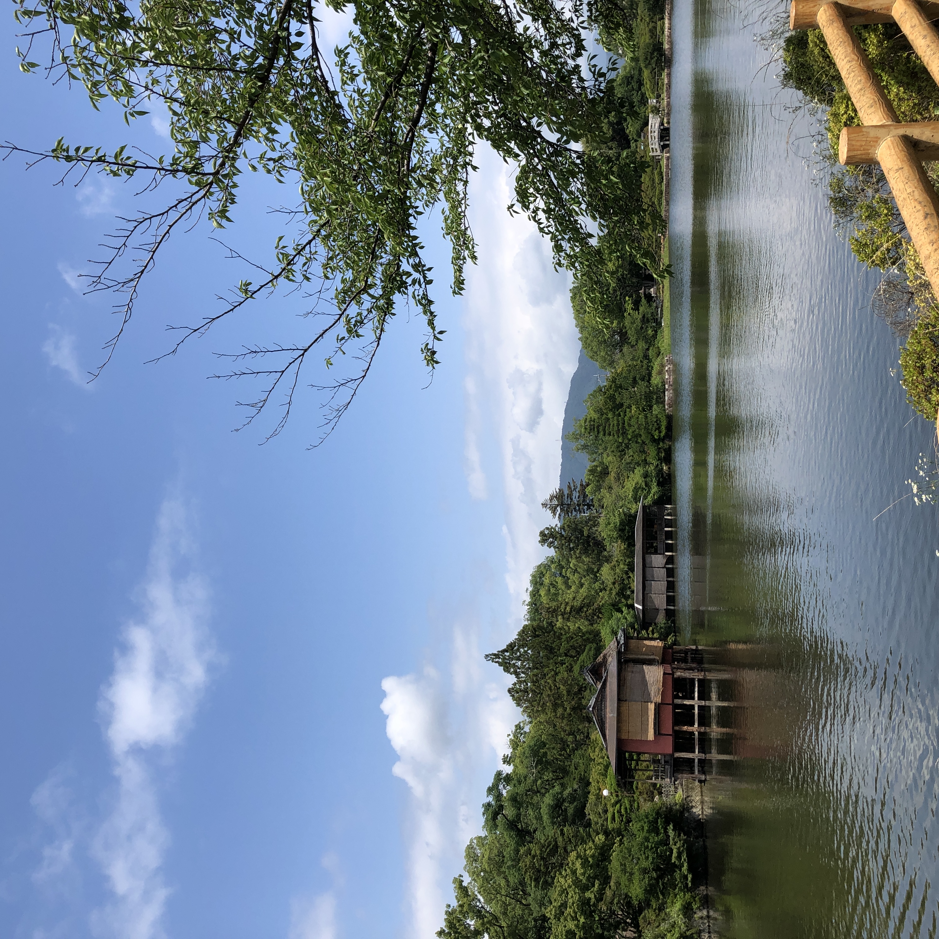 長岡天満宮 池の風景